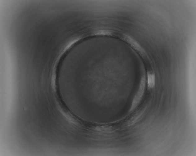X0000111860627200908201258