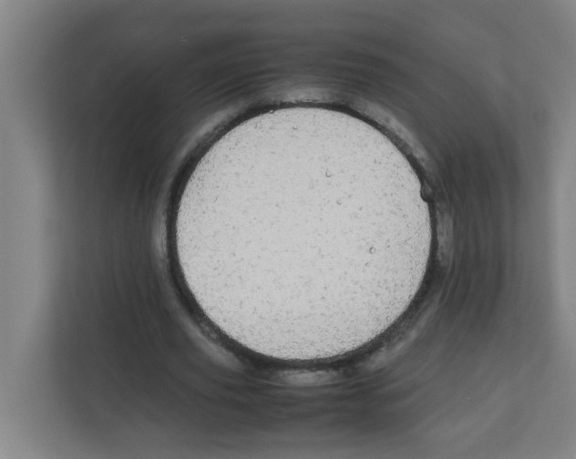X0000111860629200908201258