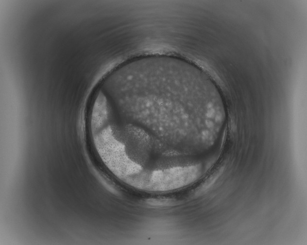 X0000111860630200908201258