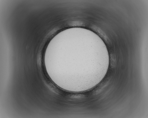 X0000111860631200908201258