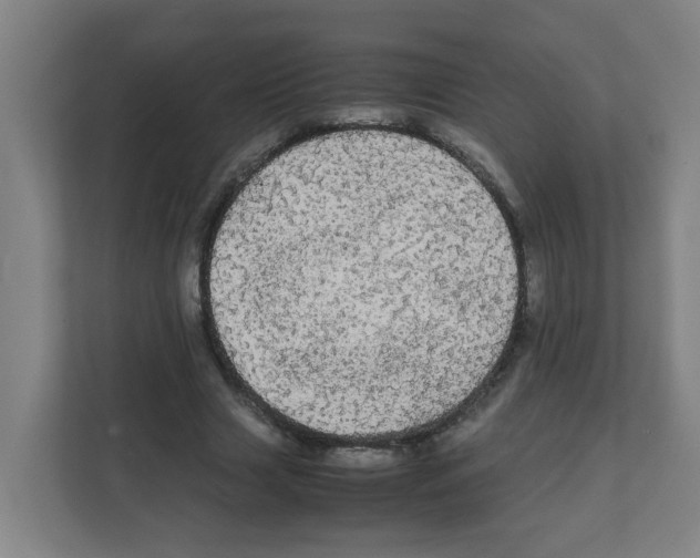 X0000111860633200908201258