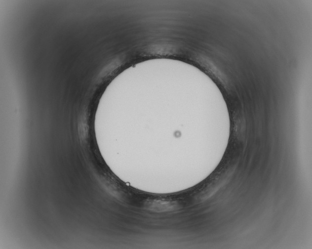 X0000111860635200908201258
