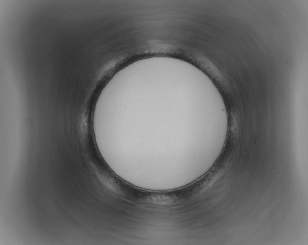 X0000111860636200908201258
