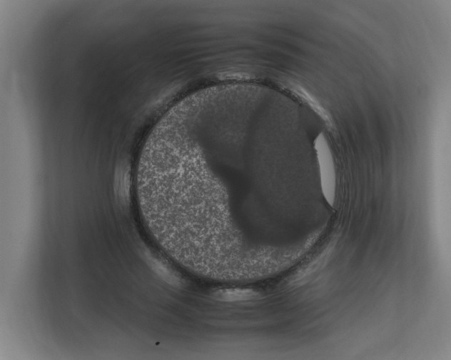 X0000111860637200908201258
