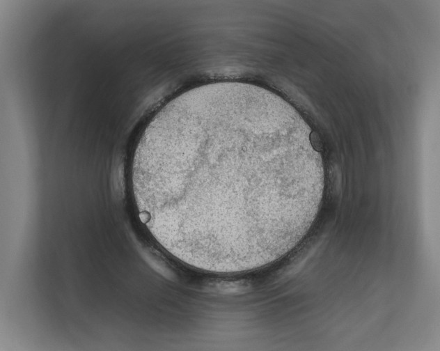 X0000111860638200908201258