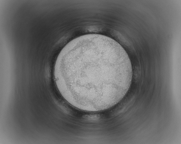 X0000111860639200908201258