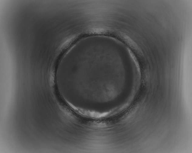 X0000111860640200908201258