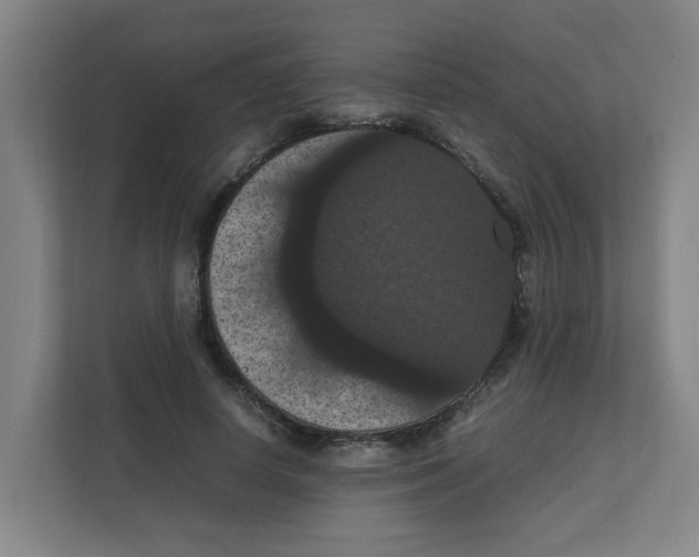 X0000111860642200908201258