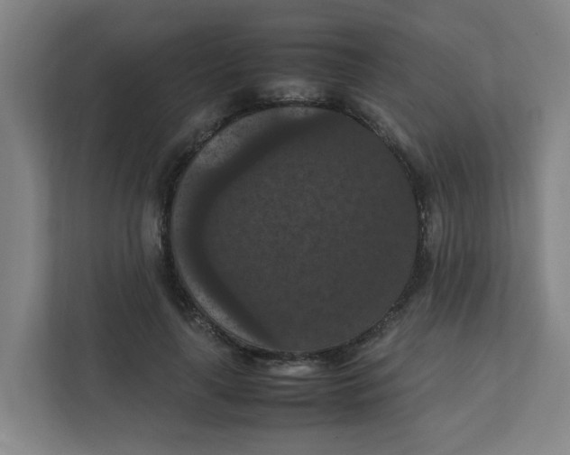 X0000111860643200908201258