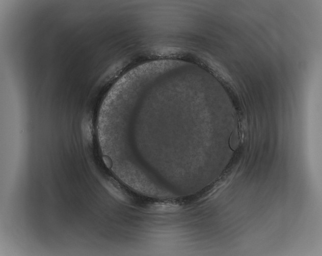 X0000111860644200908201258