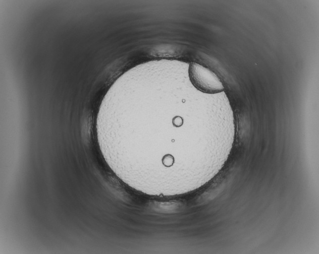 X0000111860645200908201258