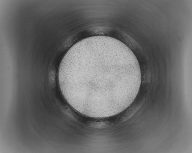 X0000111860646200908201258