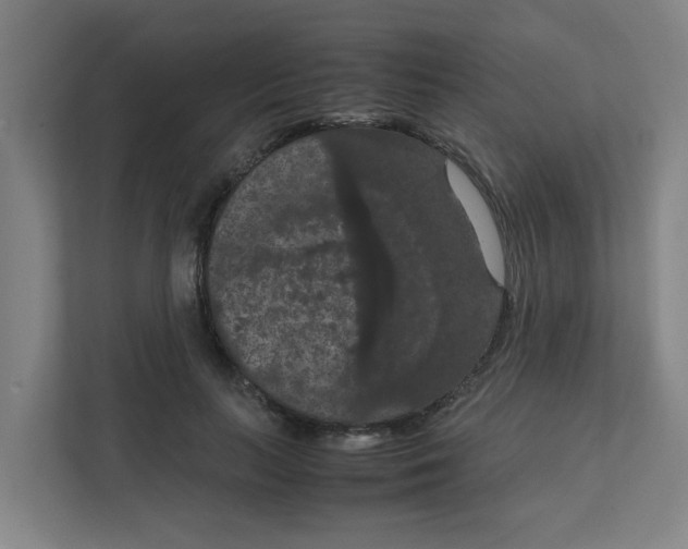 X0000111860647200908201258