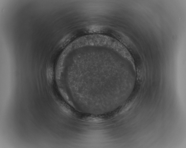 X0000111860648200908201258