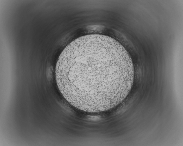 X0000111860649200908201258