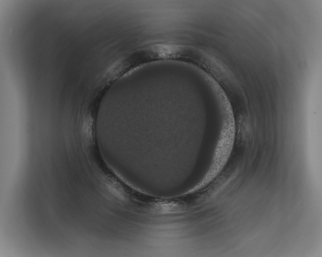 X0000111860650200908201258