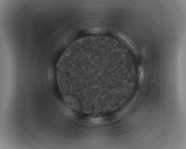 X0000111860653200908201258