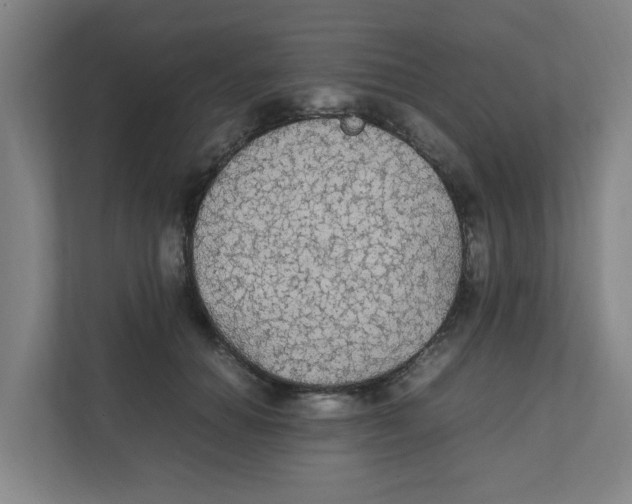 X0000111860654200908201258