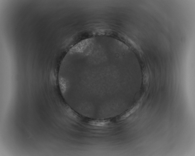 X0000111860661200908201258
