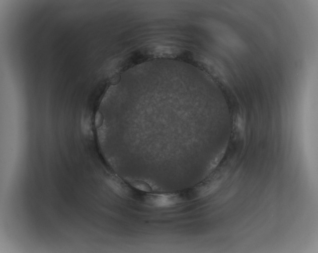 X0000111860663200908201258