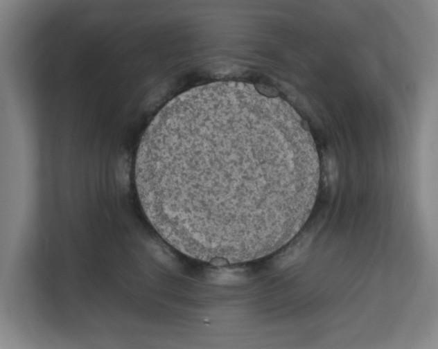 X0000111860664200908201258