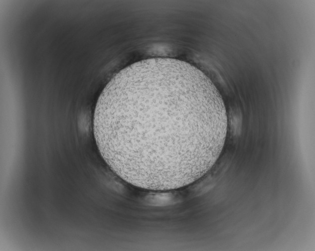 X0000111860665200908201258