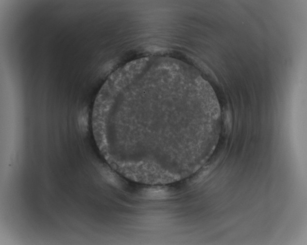 X0000111860668200908201258