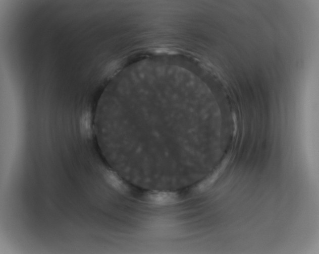 X0000111860670200908201259