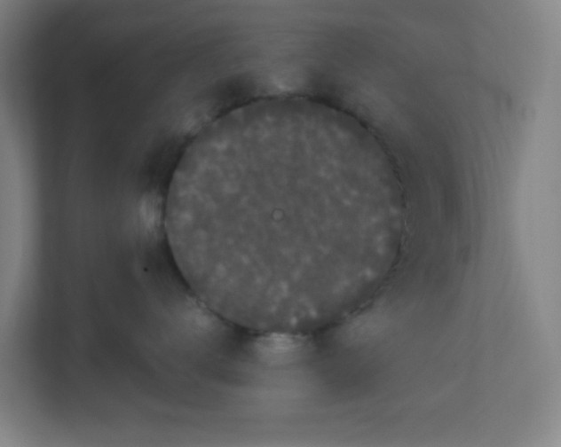 X0000111860672200908201259