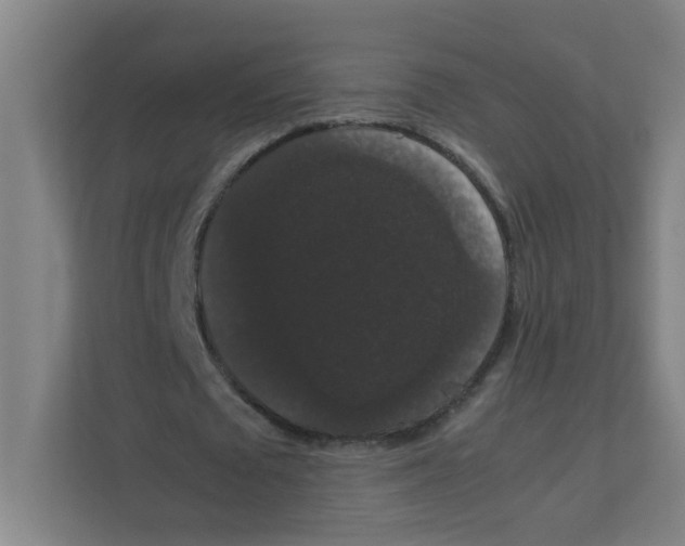 X0000111860673200908201258