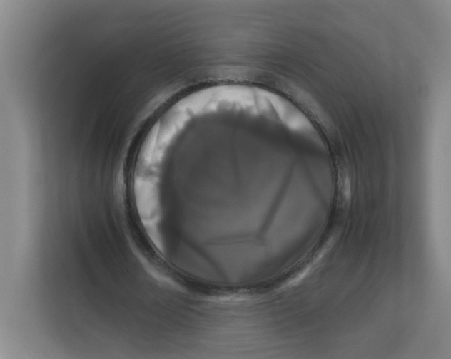 X0000111860674200908201258