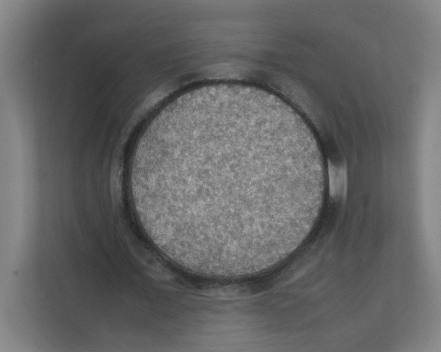 X0000111860675200908201258
