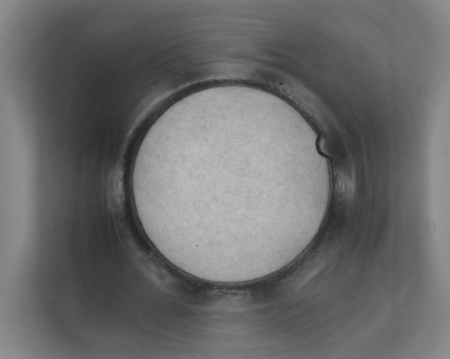 X0000111860676200908201258