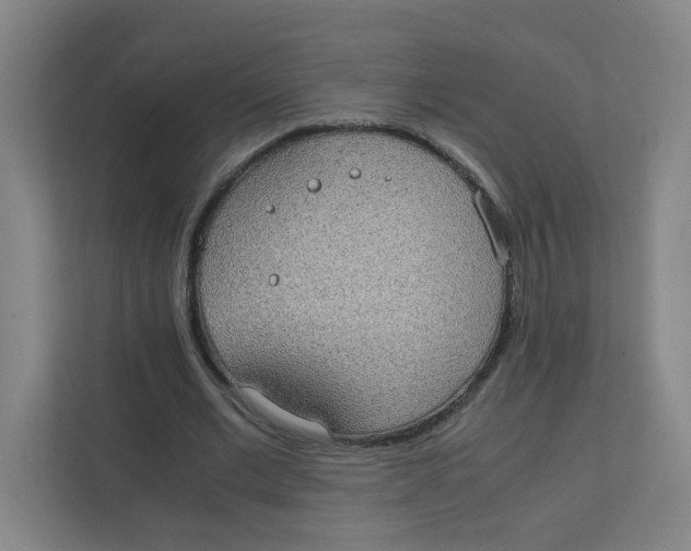 X0000111860677200908201258