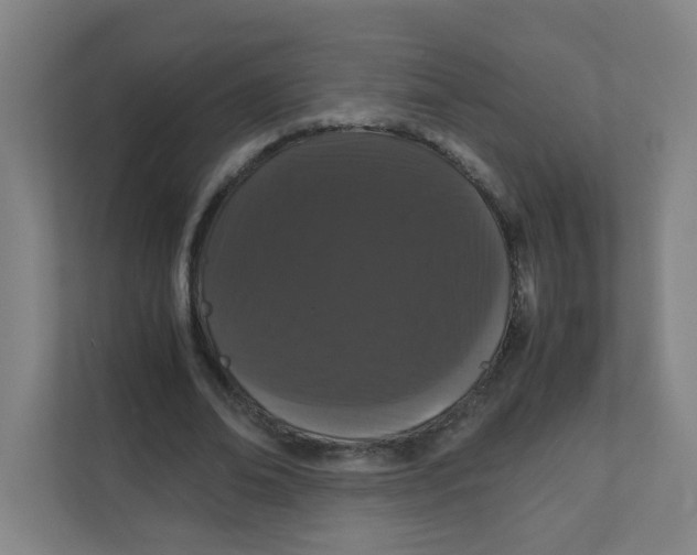 X0000111860678200908201258