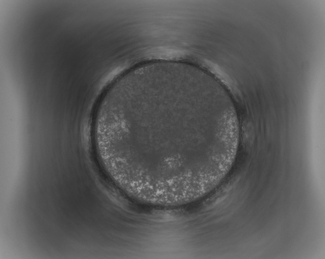 X0000111860679200908201258