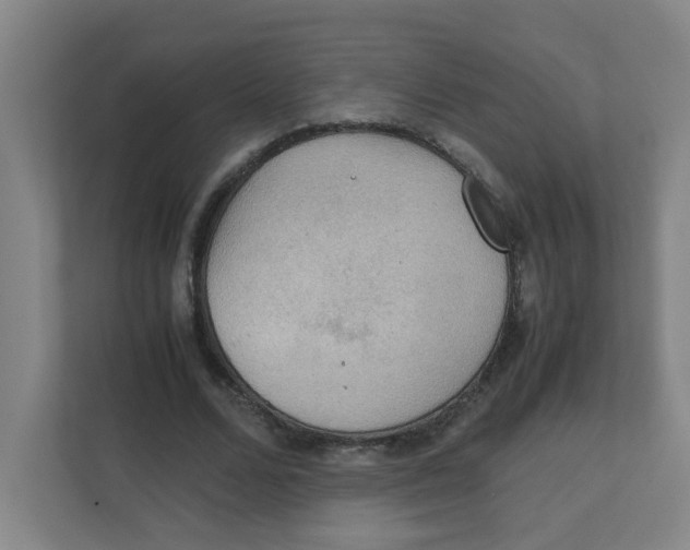 X0000111860680200908201258