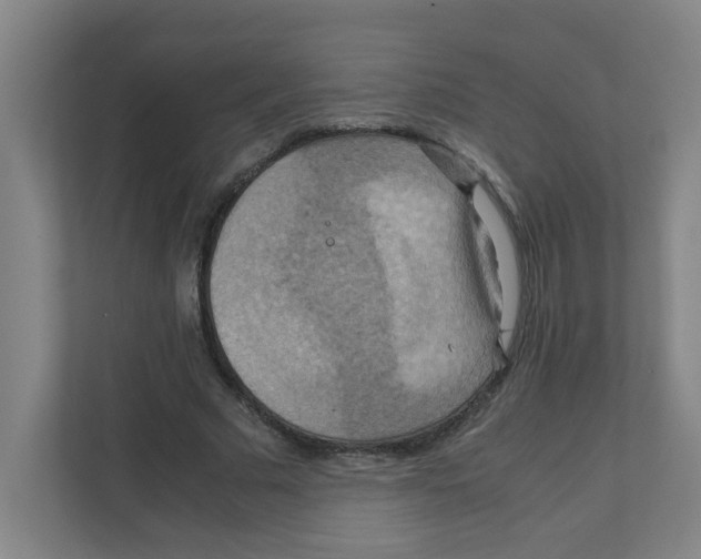 X0000111860681200908201258