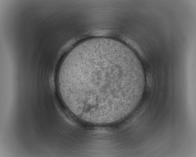 X0000111860682200908201258