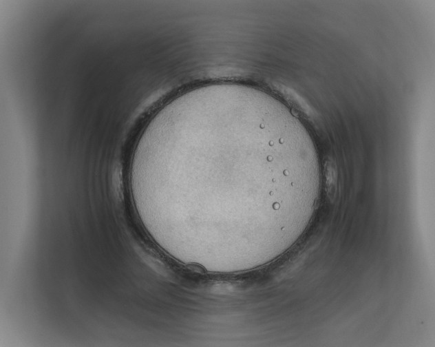 X0000111860684200908201258