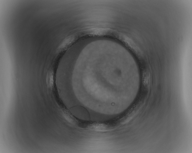 X0000111860685200908201258