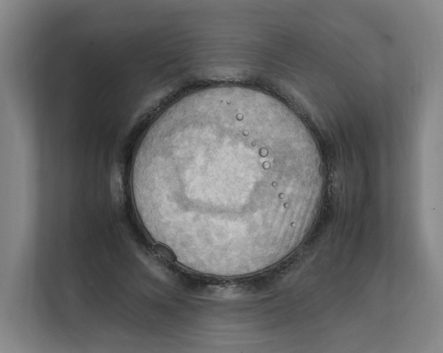 X0000111860688200908201258