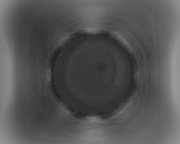 X0000111860689200908201258