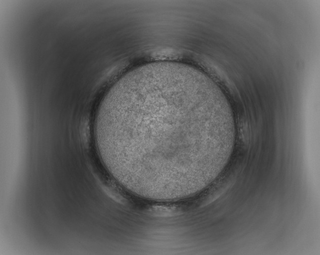 X0000111860690200908201258