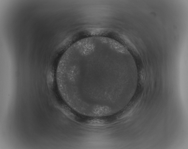 X0000111860691200908201258