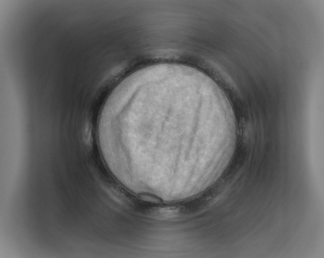 X0000111860692200908201258