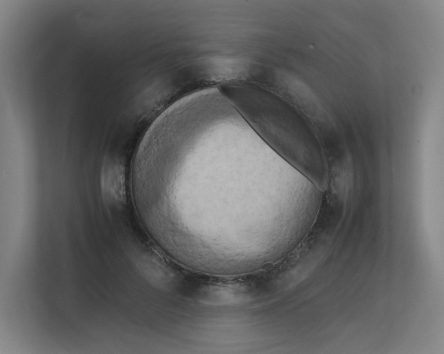 X0000111860696200908201258