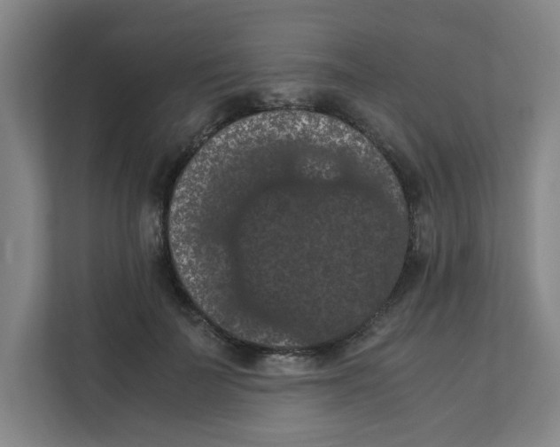 X0000111860699200908201258