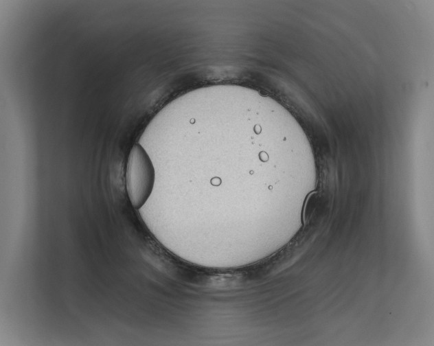 X0000111860700200908201258