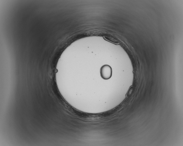 X0000111860701200908201258
